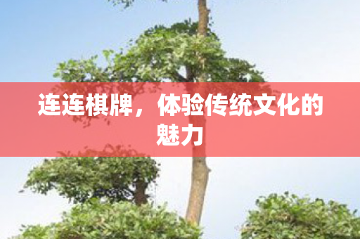 体验传统文化的魅力图片