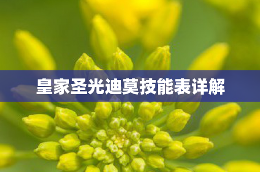 皇家圣光迪莫技能表详解图片