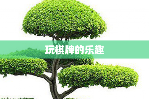 玩棋牌的乐趣图片