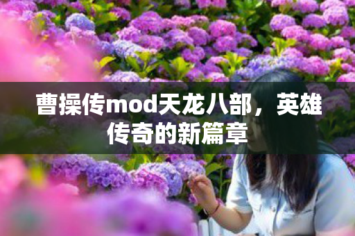 曹操传mod天龙八部图片