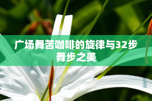 广场舞苦咖啡的旋律与32步舞步之美图片