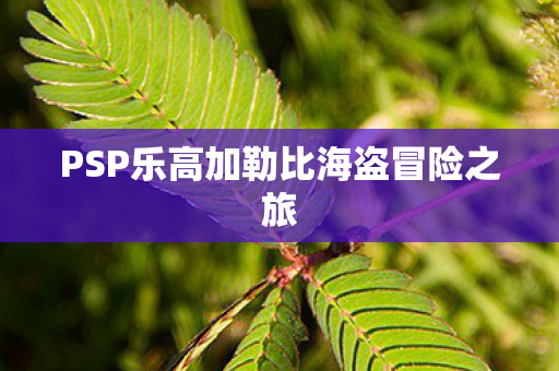 PSP乐高加勒比海盗冒险之旅图片