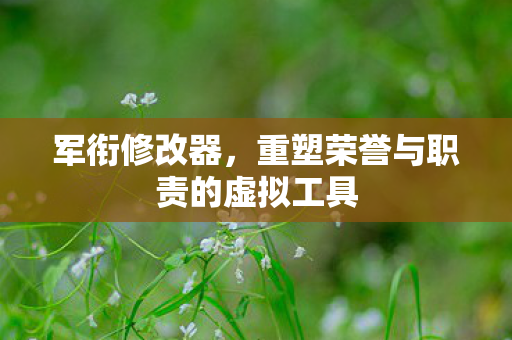 重塑荣誉与职责的虚拟工具图片