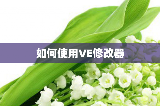 如何使用VE修改器图片