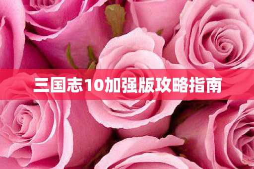 三国志10加强版攻略指南图片
