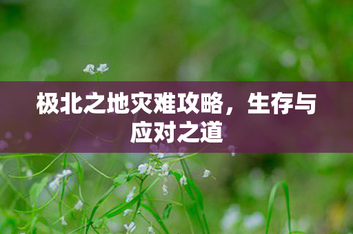 极北之地灾难攻略图片