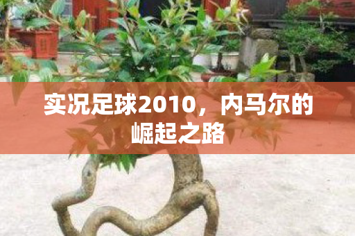 实况足球2010图片