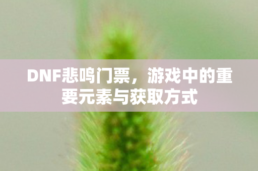 游戏中的重要元素与获取方式图片