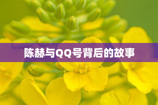 陈赫与QQ号背后的故事图片