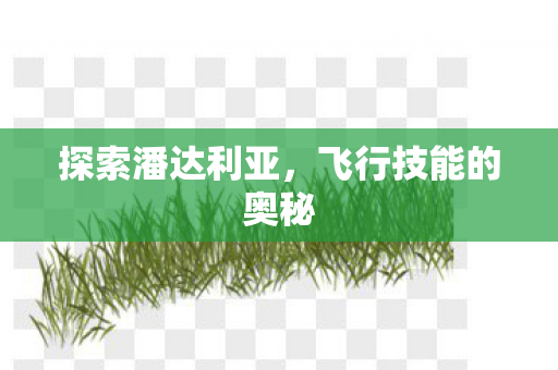 飞行技能的奥秘图片