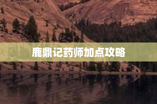 鹿鼎记药师加点攻略图片