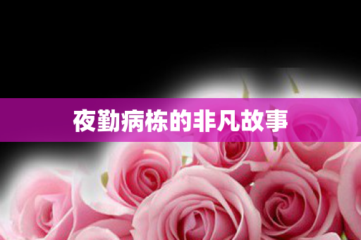 夜勤病栋的非凡故事图片
