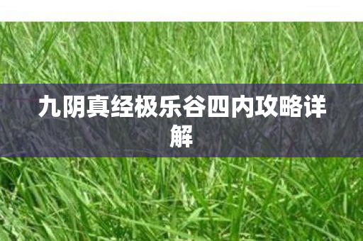 九阴真经极乐谷四内攻略详解图片