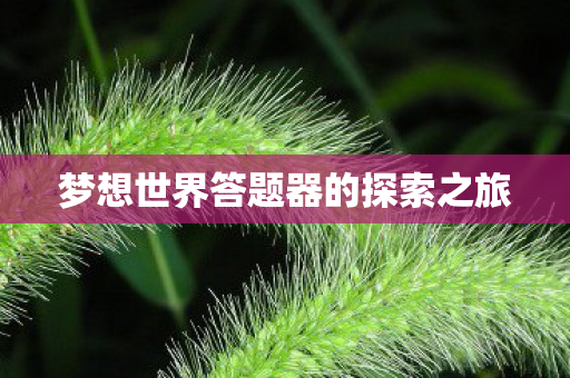 梦想世界答题器的探索之旅图片