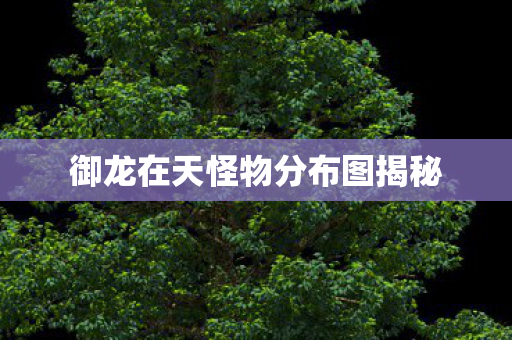 御龙在天怪物分布图揭秘图片