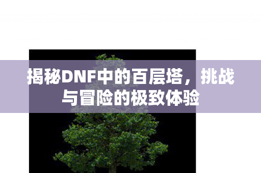 揭秘DNF中的百层塔图片