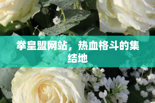 热血格斗的集结地图片