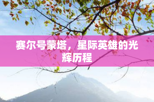 星际英雄的光辉历程图片