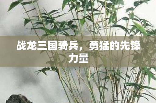 勇猛的先锋力量图片