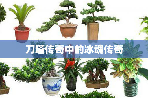 刀塔传奇中的冰魂传奇图片