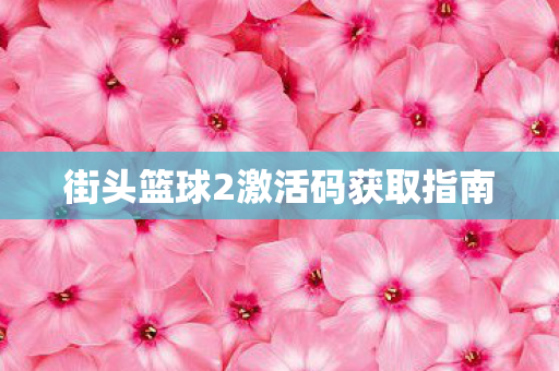 街头篮球2激活码获取指南图片
