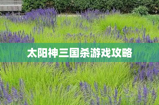 太阳神三国杀游戏攻略图片