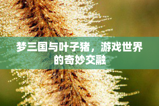 游戏世界的奇妙交融图片