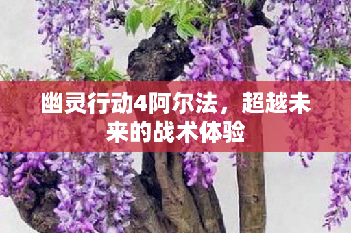 超越未来的战术体验图片