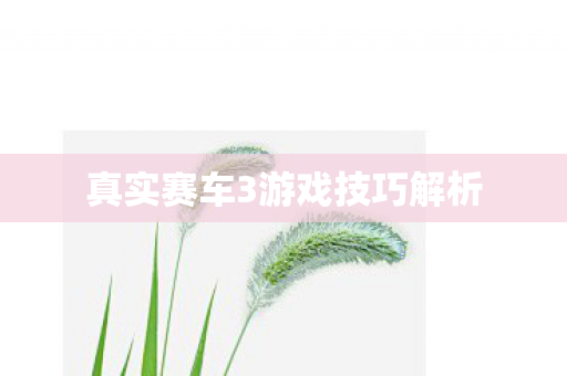 真实赛车3游戏技巧解析图片