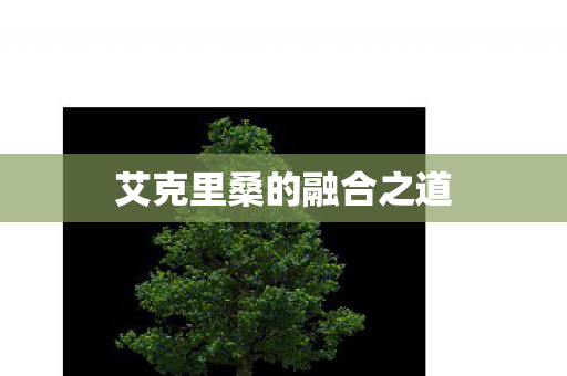 艾克里桑的融合之道图片