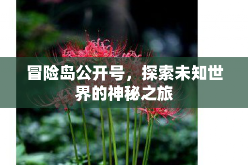 探索未知世界的神秘之旅图片