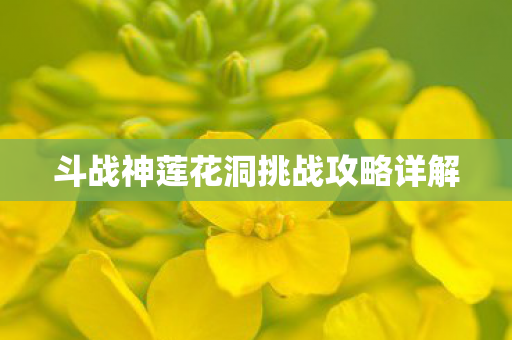 斗战神莲花洞挑战攻略详解图片