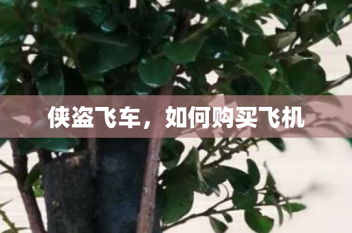 如何购买飞机图片