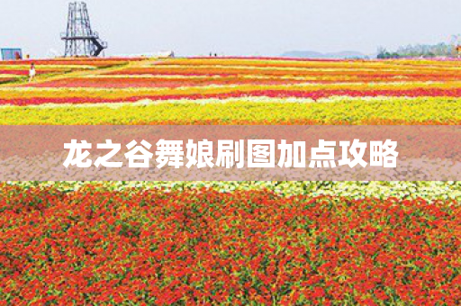 龙之谷舞娘刷图加点攻略图片