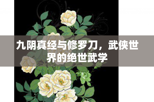 武侠世界的绝世武学图片