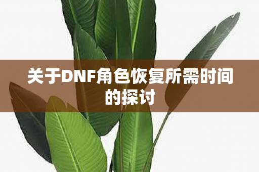 关于DNF角色恢复所需时间的探讨图片