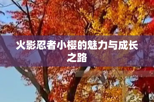 火影忍者小樱的魅力与成长之路图片