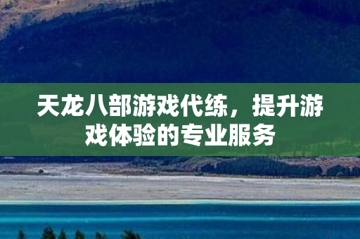 提升游戏体验的专业服务图片