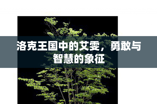 洛克王国中的艾雯图片