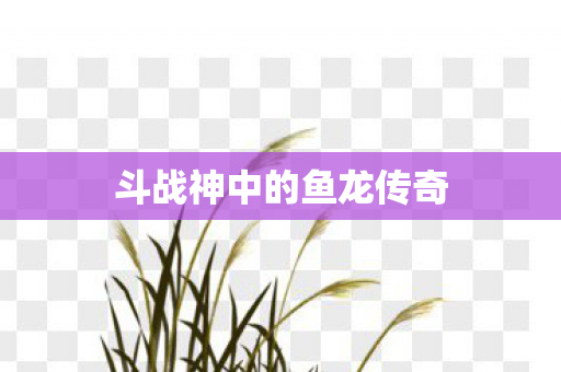 斗战神中的鱼龙传奇图片