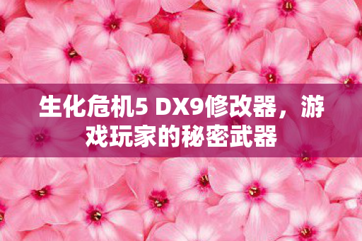 生化危机5 DX9修改器图片