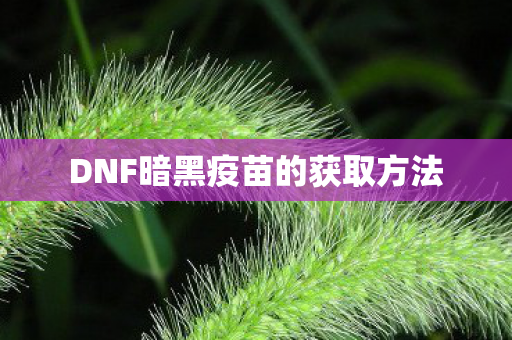DNF暗黑疫苗的获取方法图片