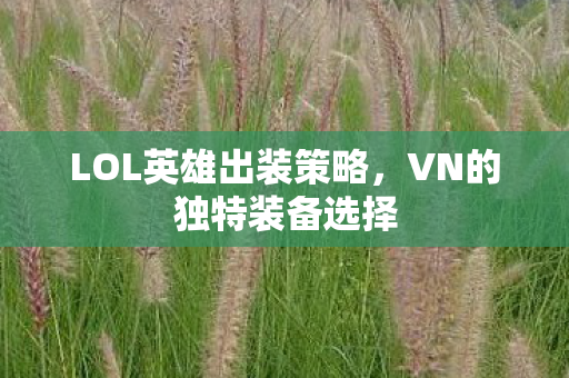 LOL英雄出装策略图片