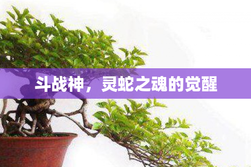 灵蛇之魂的觉醒图片