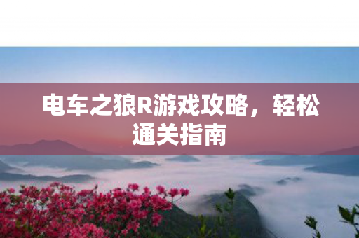 电车之狼R游戏攻略图片