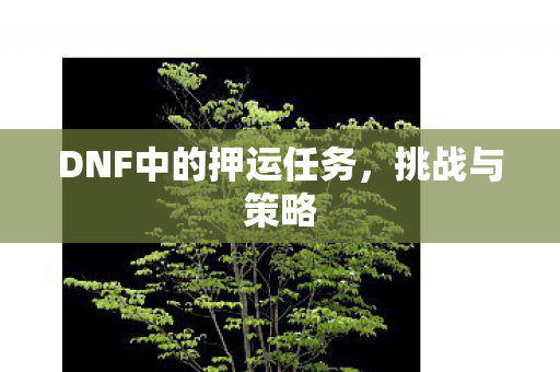 DNF中的押运任务图片