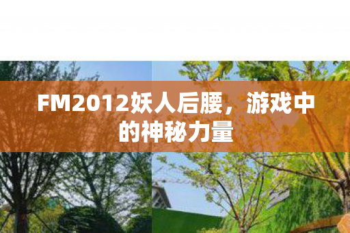 FM2012妖人后腰图片