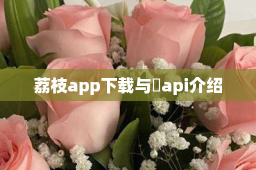 荔枝app下载与汅api介绍图片