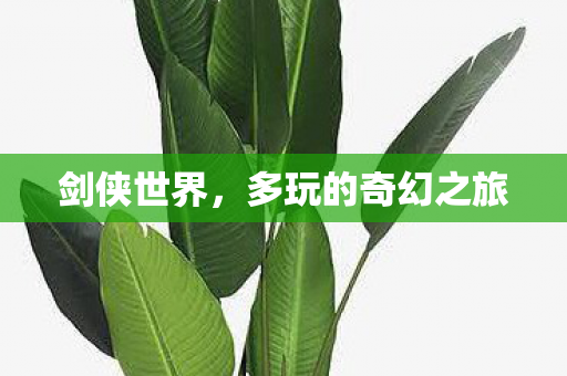 多玩的奇幻之旅图片