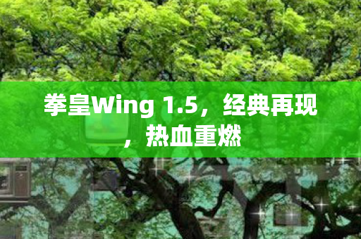 拳皇Wing 1图片